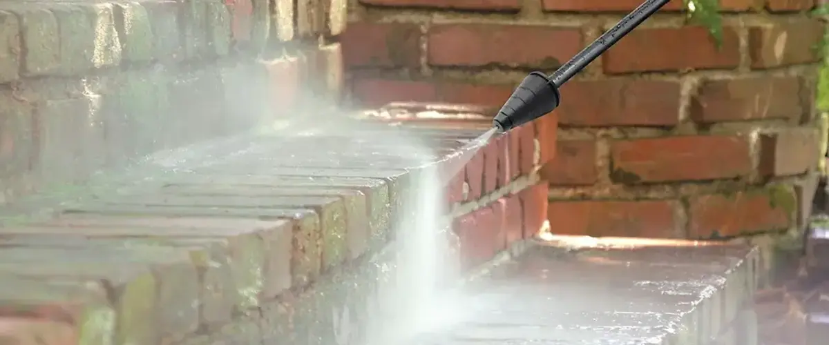 سنگ فرش های پوشیده شده از خزه