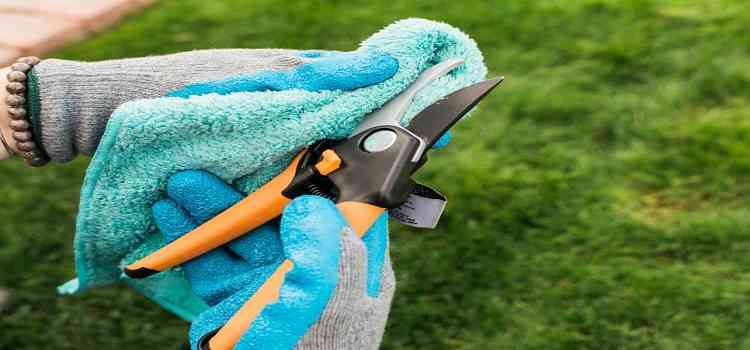 نظافت ابزار باغ