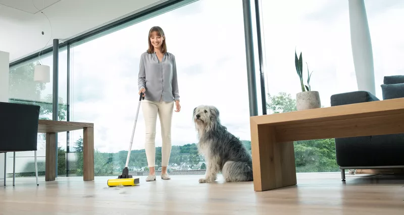 راهکاری برای نظافت خانه با وجود حیوانات خانگی مثل سگ
