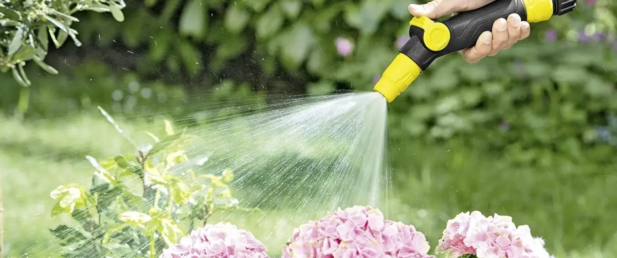 استفاده از کارواش خانگی برای آبیاری باغ