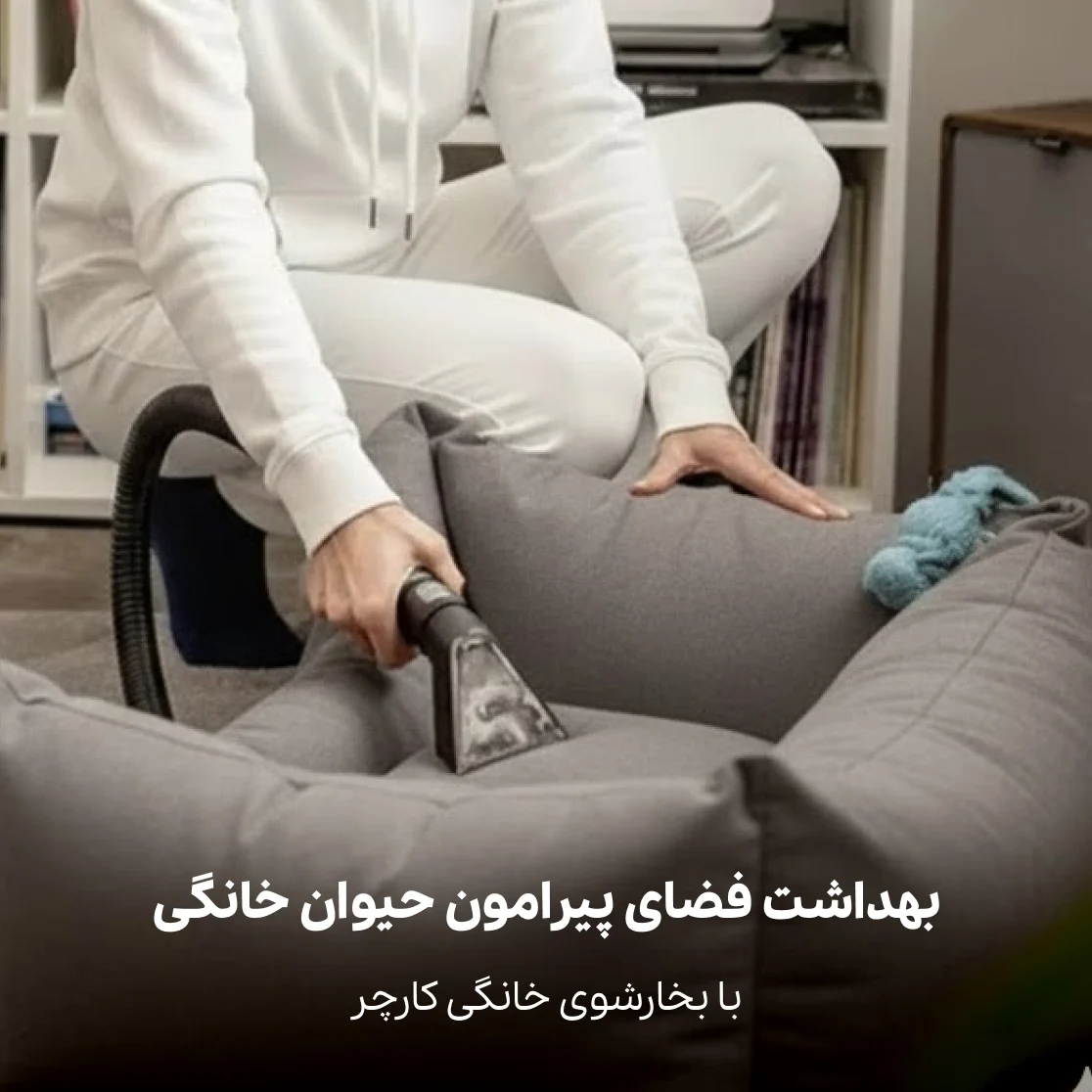 نظافت پت با بخارشوی کارچر